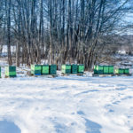 Bienenstand im Winter